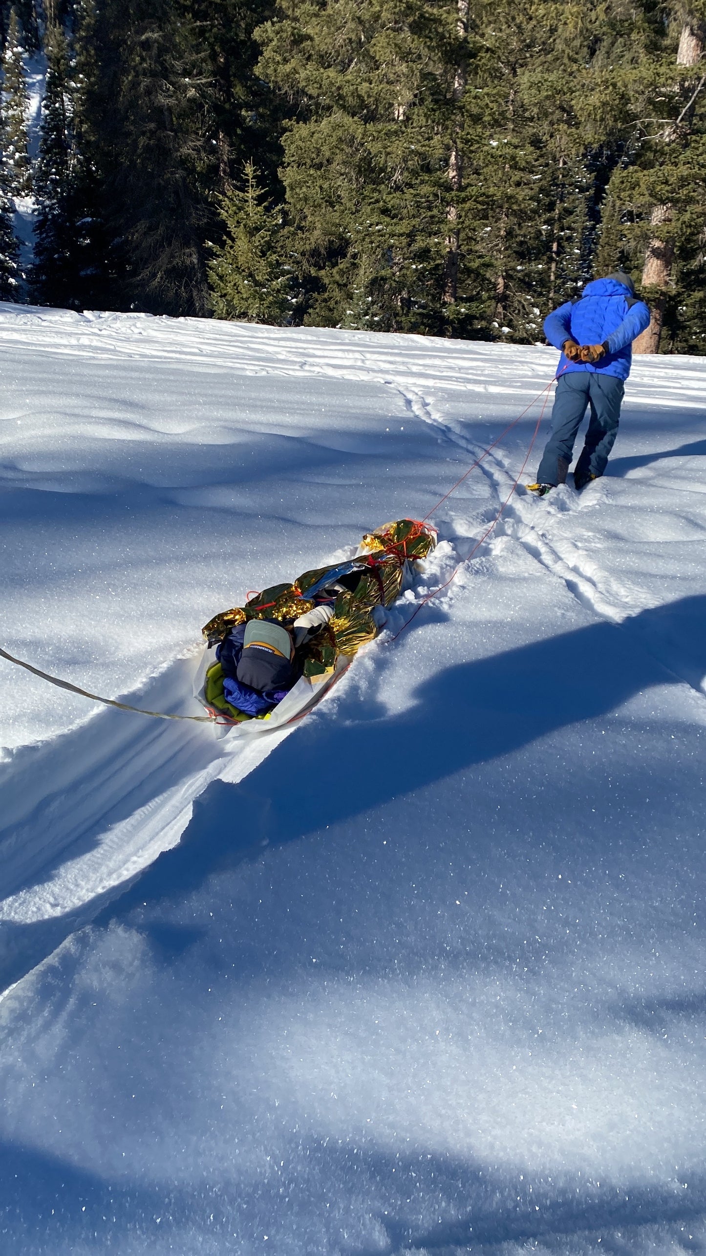 Jackson Backcountry Rescue Sled